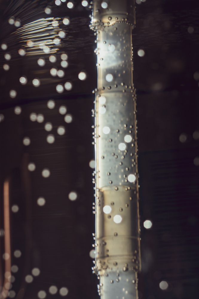 Photograph by Роман Саламатин