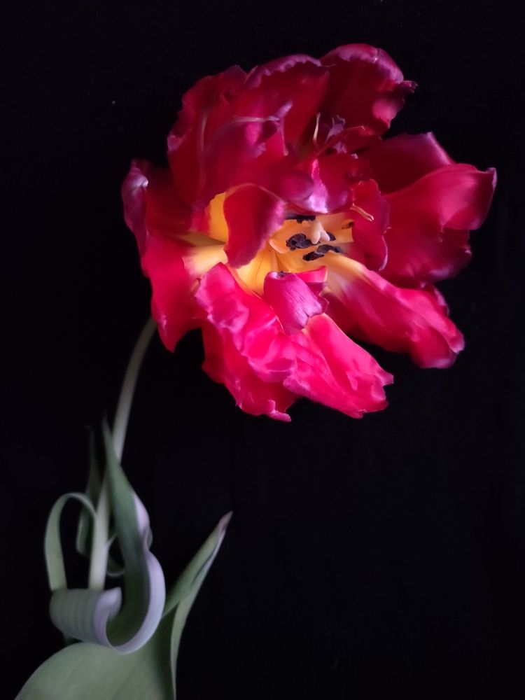 Photograph by Ольга Сучкова