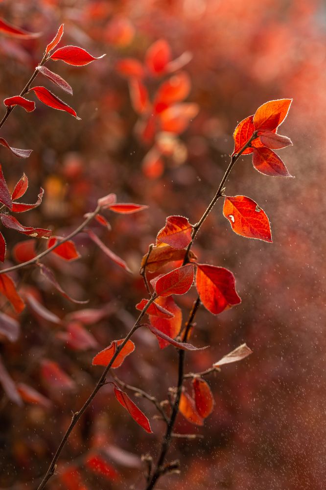 Фотография автора Анастасия