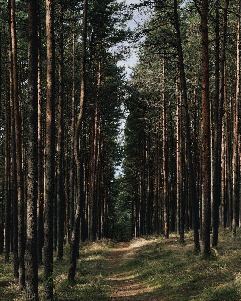 Photograph by Мария