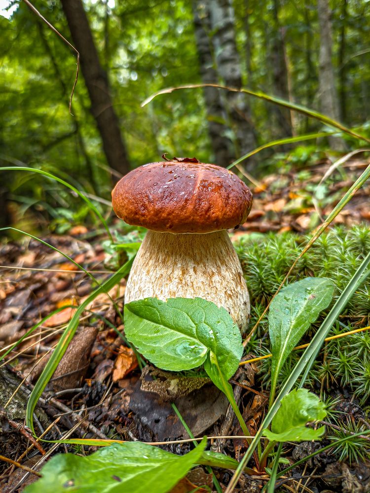 Фотография автора Александр Хухлов
