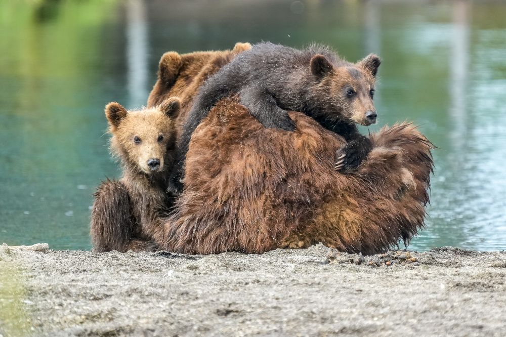 Photograph by Илья Труханов