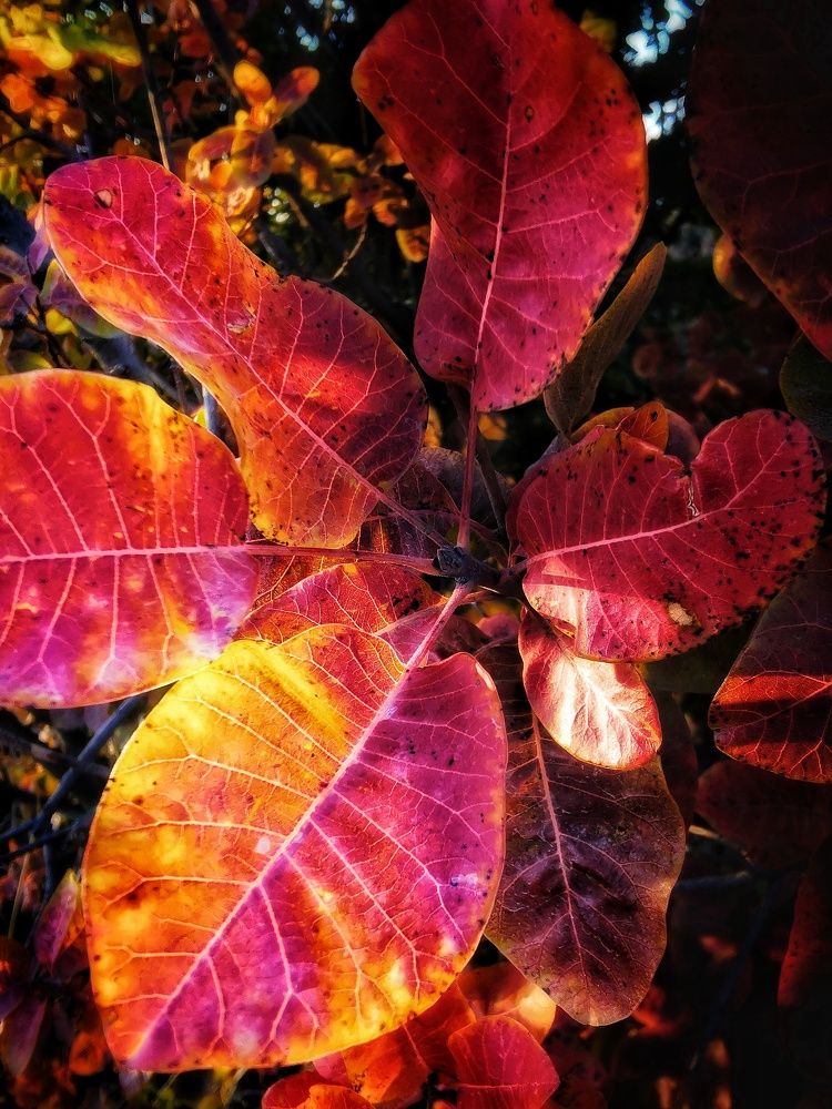 Photograph by Елена Артёменко