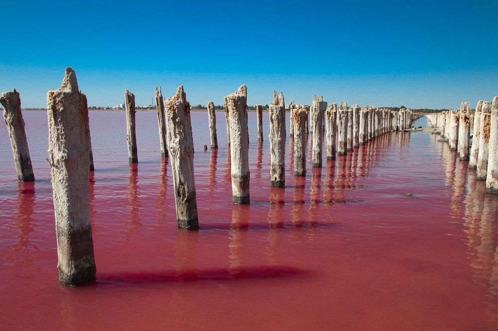 Photograph by Алексей