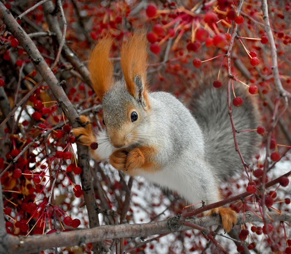 Гибкая с детства!