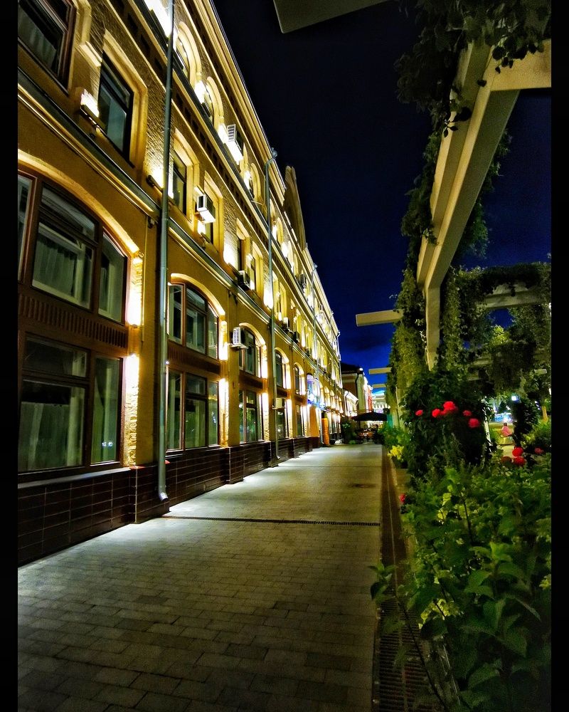 Photograph by Елена Артёменко