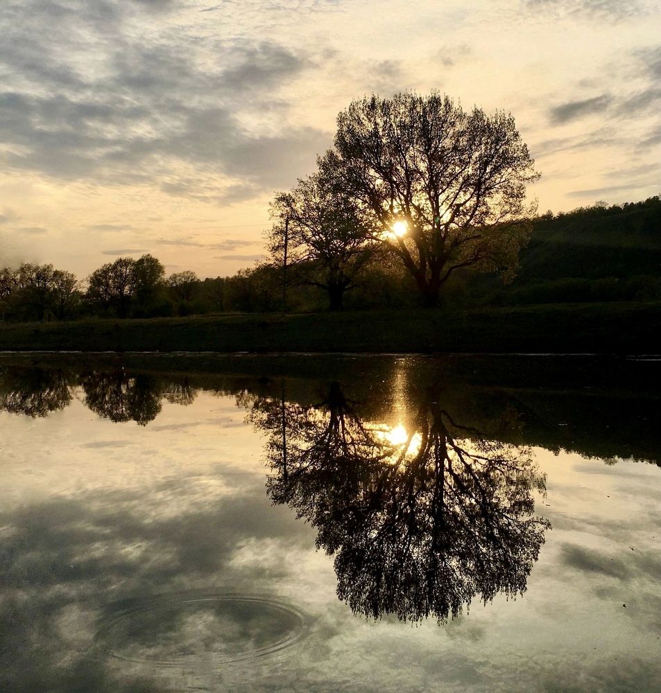 Photograph by Софья