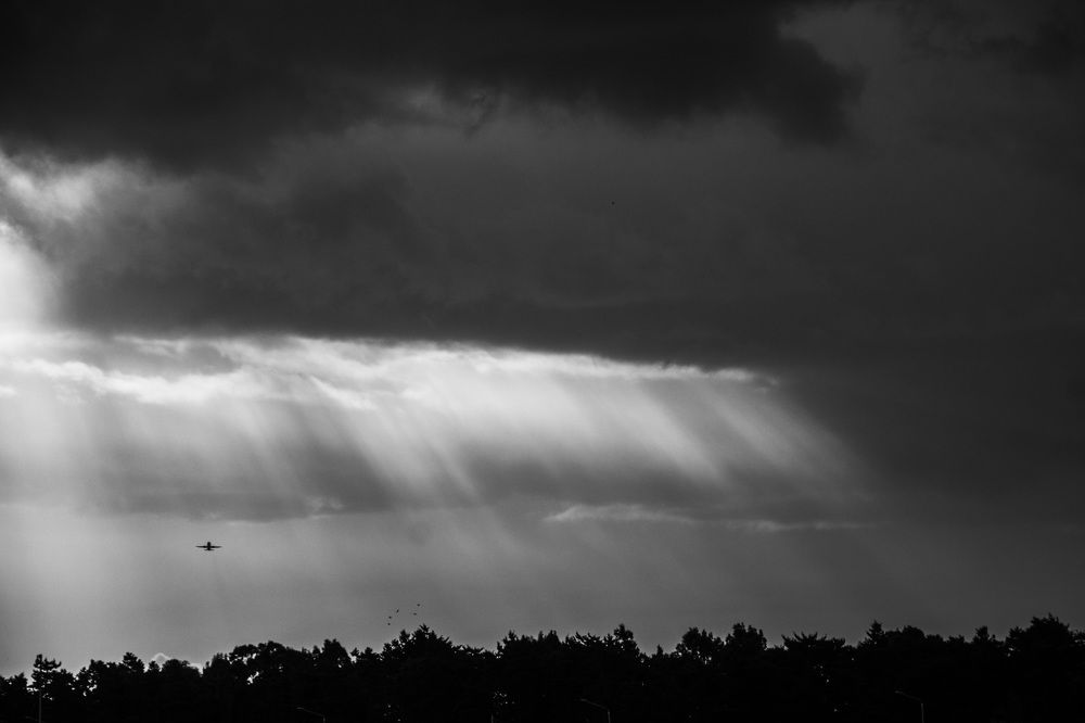 Photograph by Ernest Spiteri Gonzi