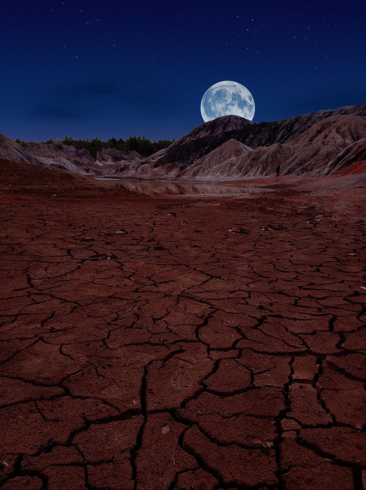 Photograph by Ольга Метлицкая