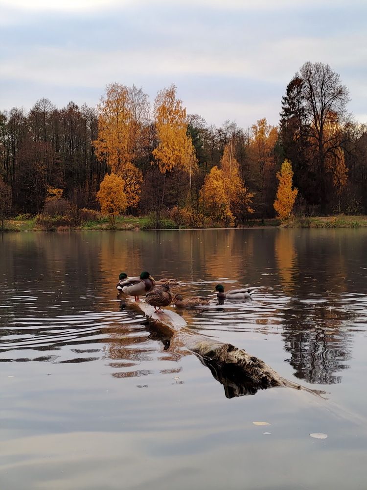 Photograph by Alecsandr Sarbaev