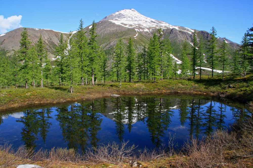 Photograph by Галина Ильясова