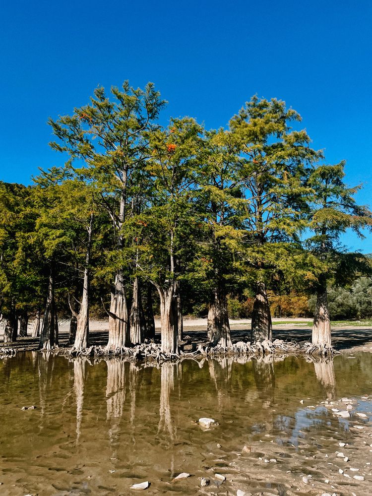 Фотография автора Oxana Yurasova