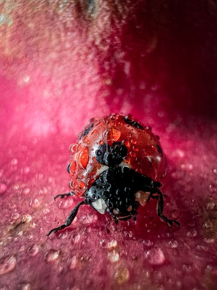 Photograph by Дамир Давронов