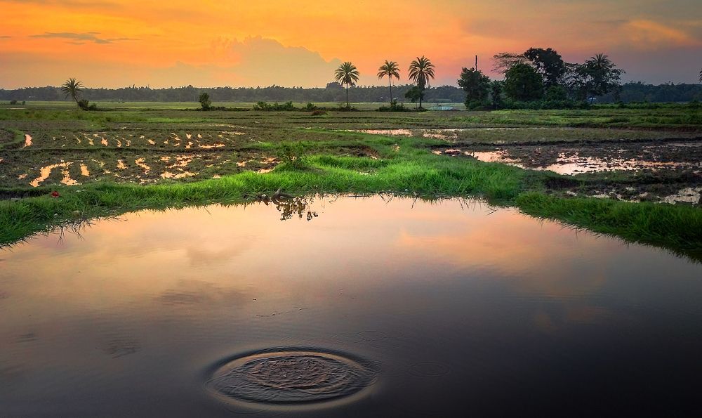 Photograph by PRIYABRATA DEBNATH