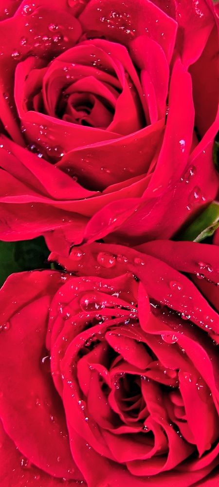 Фотография автора Dipayan Debbarma