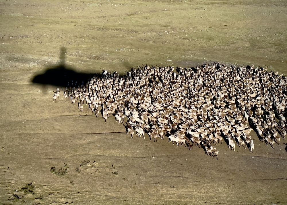 Photograph by Тимур Жилкибаев