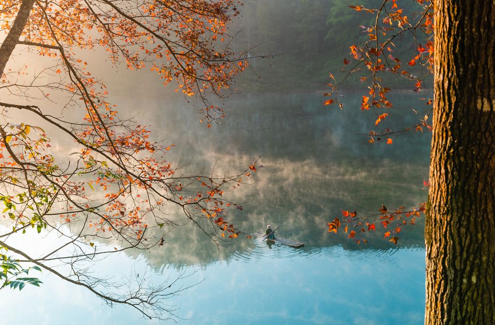 Photograph by MT-nguyen