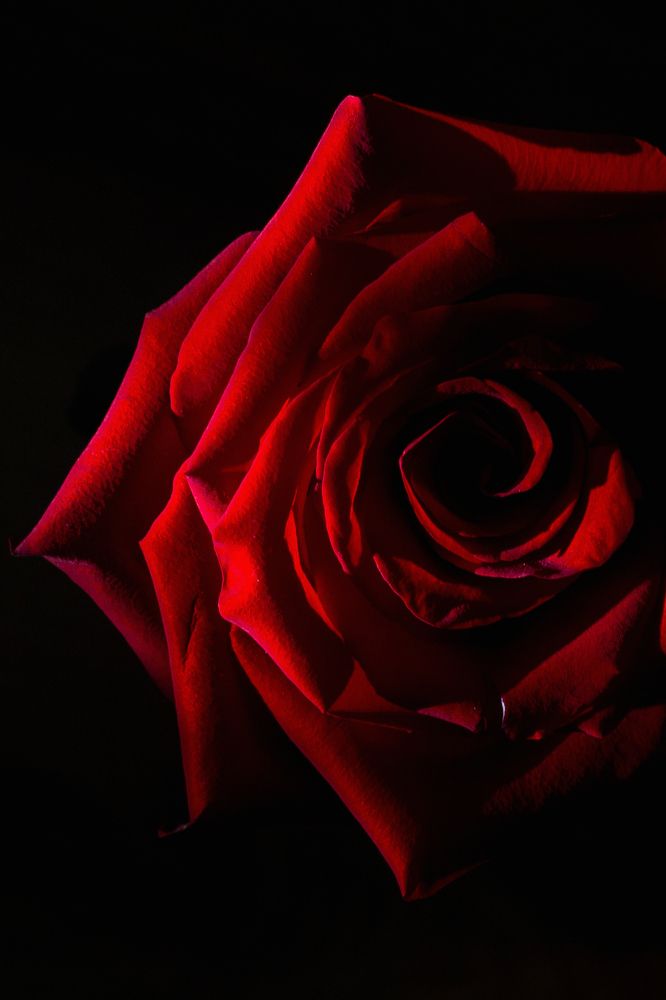 Photograph by Ирина Кононова