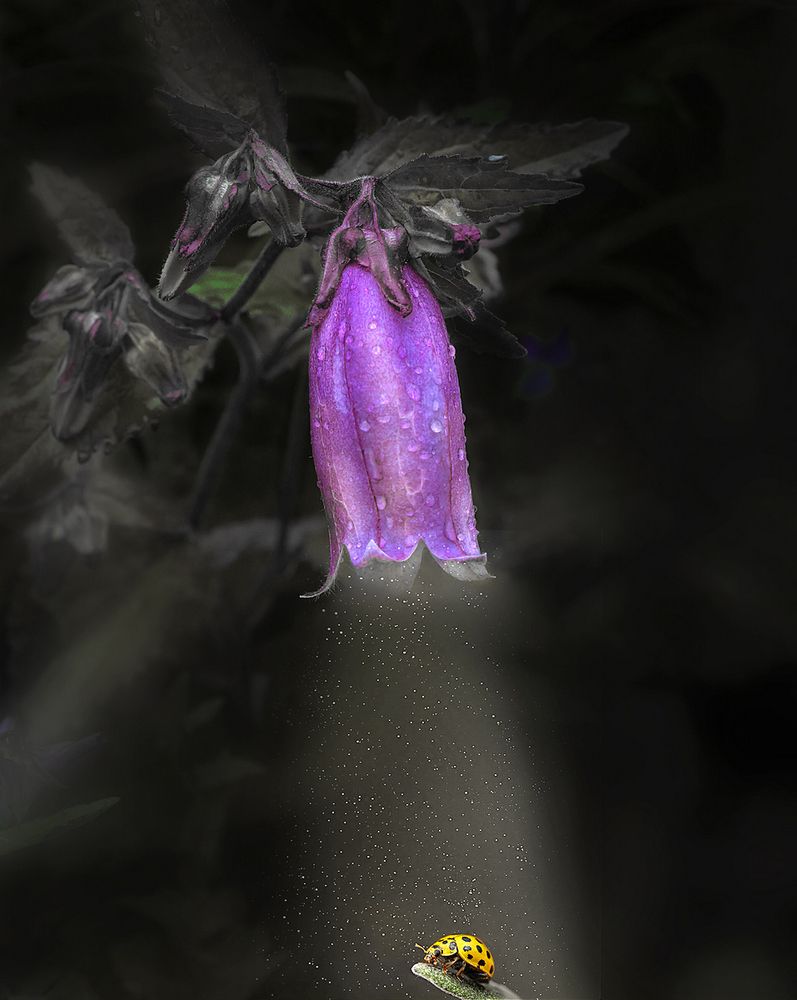 Фотография автора Александр Степочкин