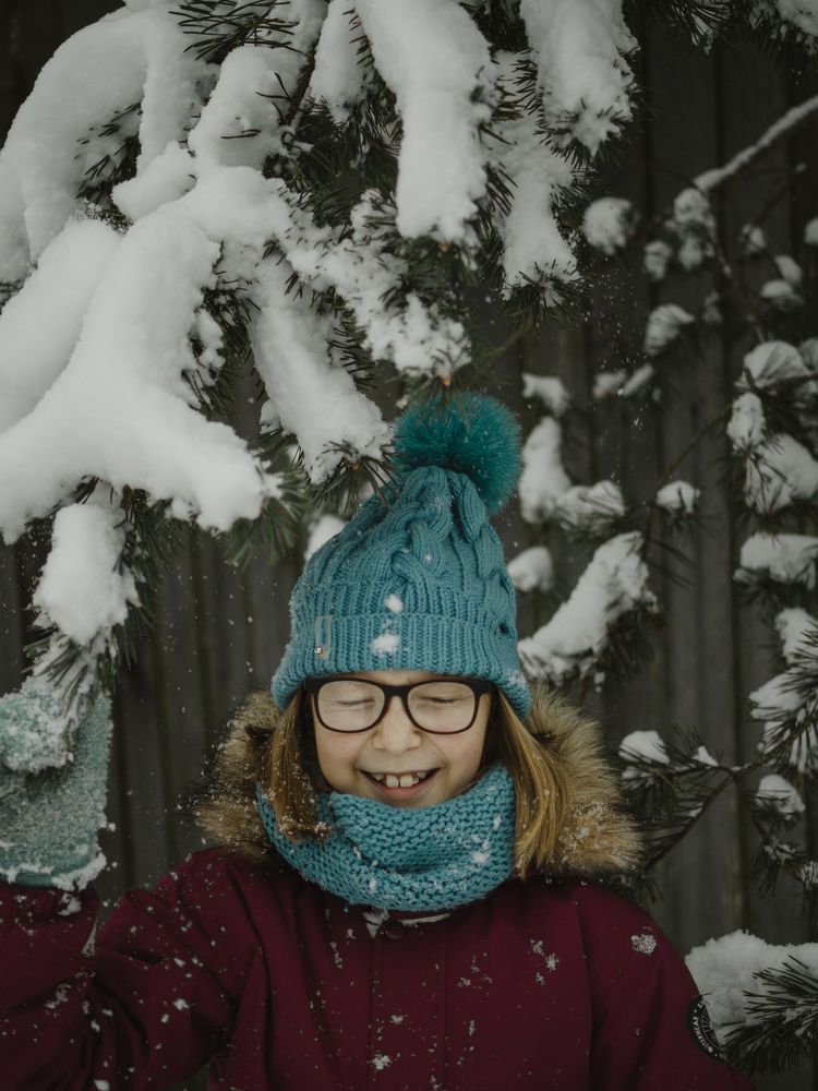 Photo #8386235