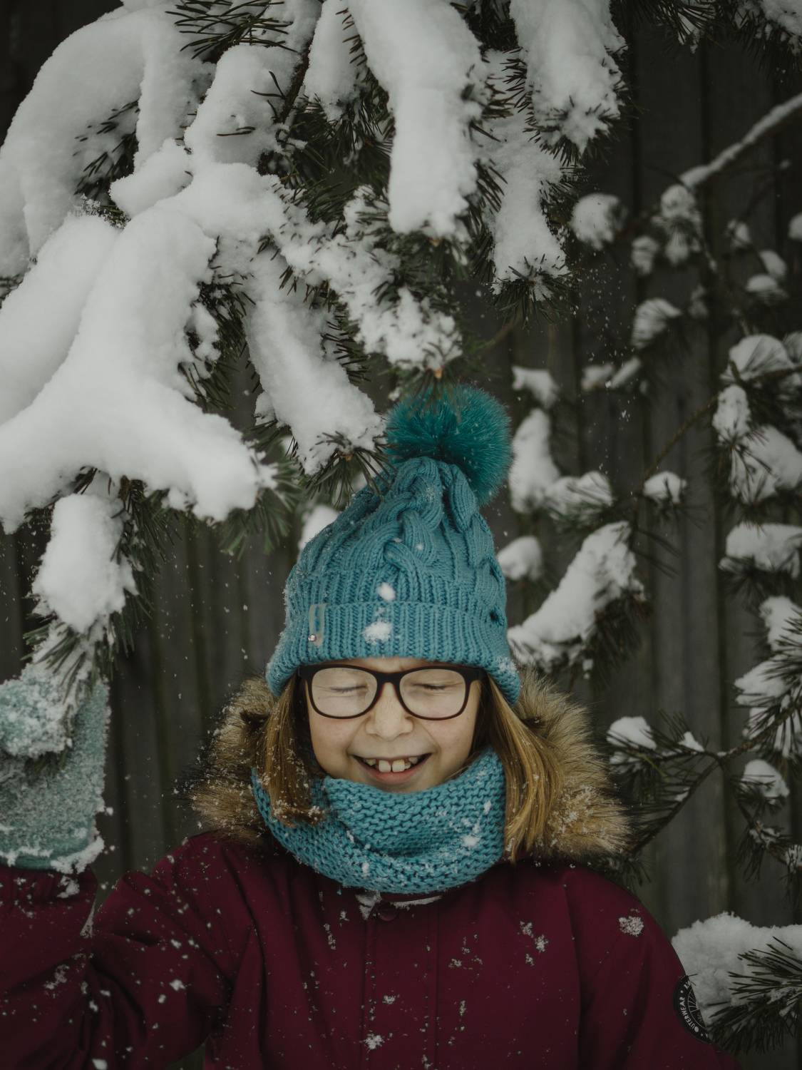 Photo #8386235