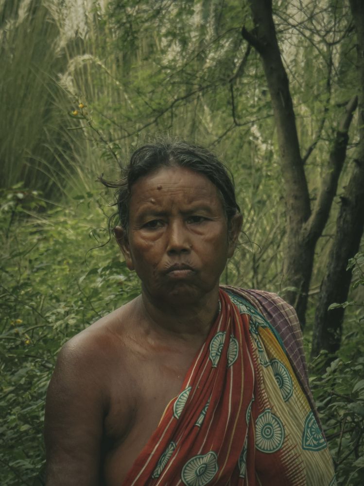 Фотография автора Subham Banerjee