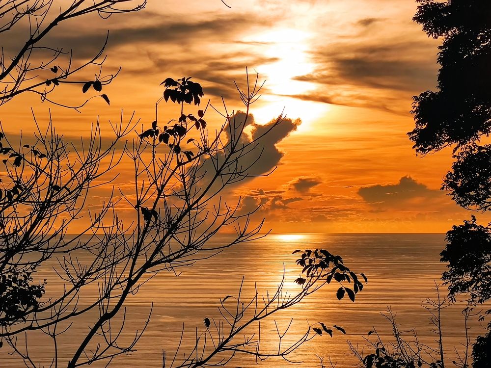 Photograph by Vladimir Kurbatov