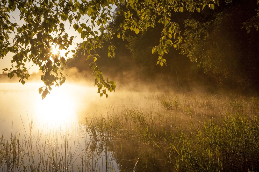 Photograph by Дмитрий Черепков