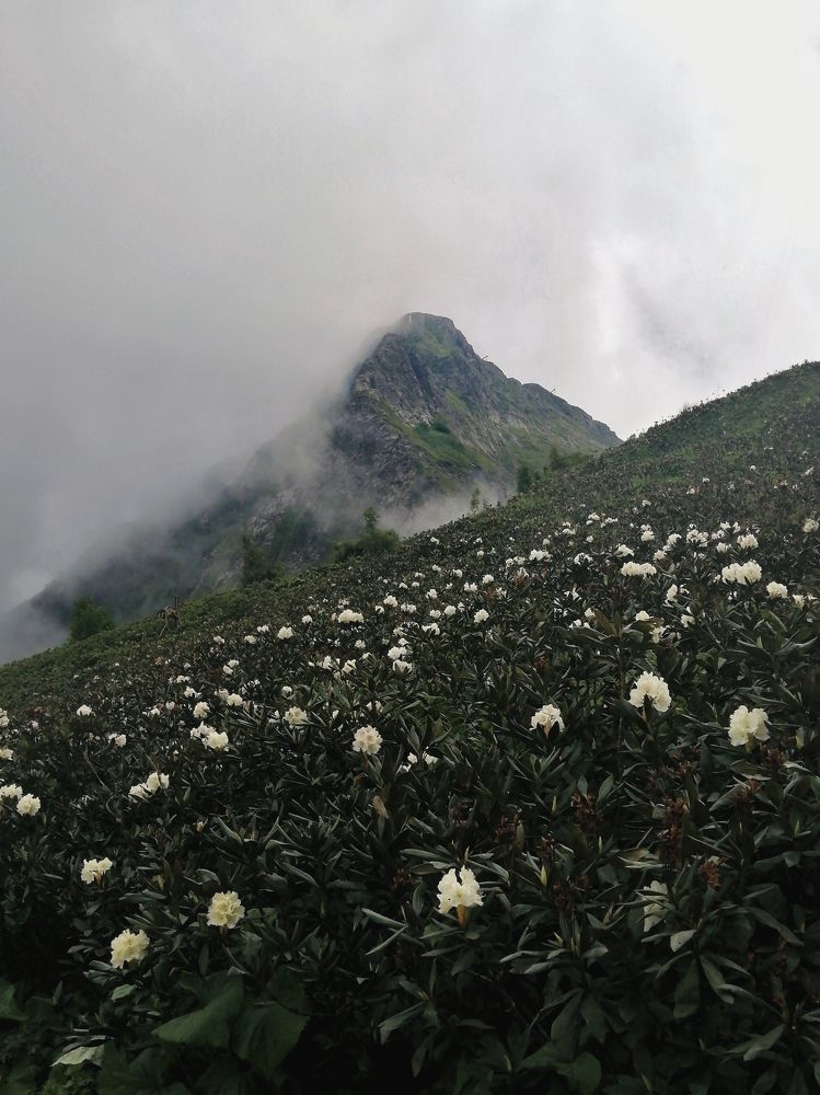 Photograph by Александр