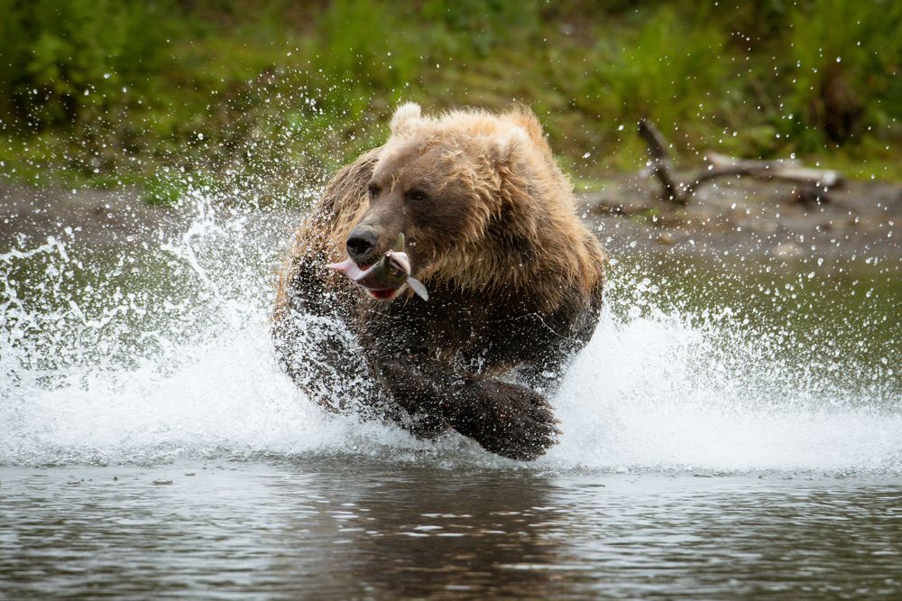 Photograph by Наталья Поспелова