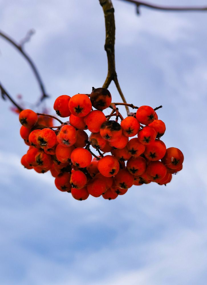 Photograph by Ольга Попченко
