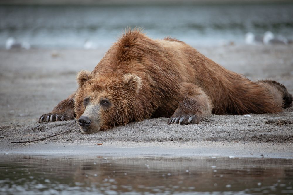 Photograph by Наталья Поспелова