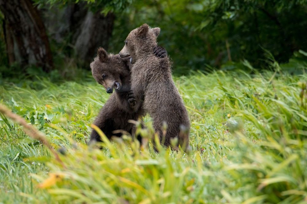 Photograph by Наталья Поспелова