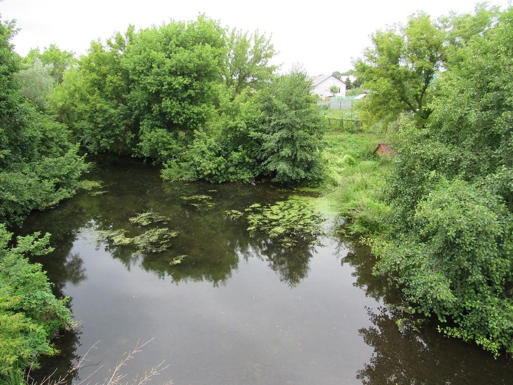 Photograph by Денис Веску