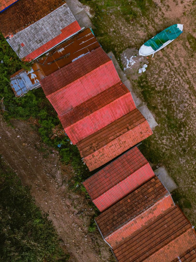 Фотография автора NECMETTİN SOBUTAY