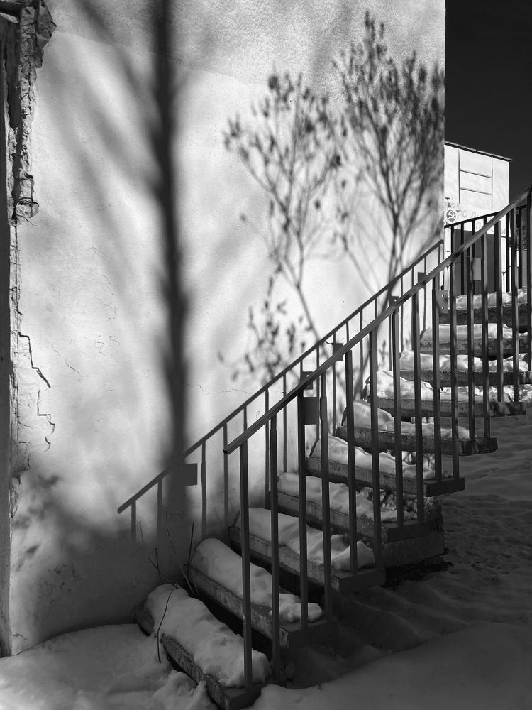 Photograph by Евгения Шубенкова