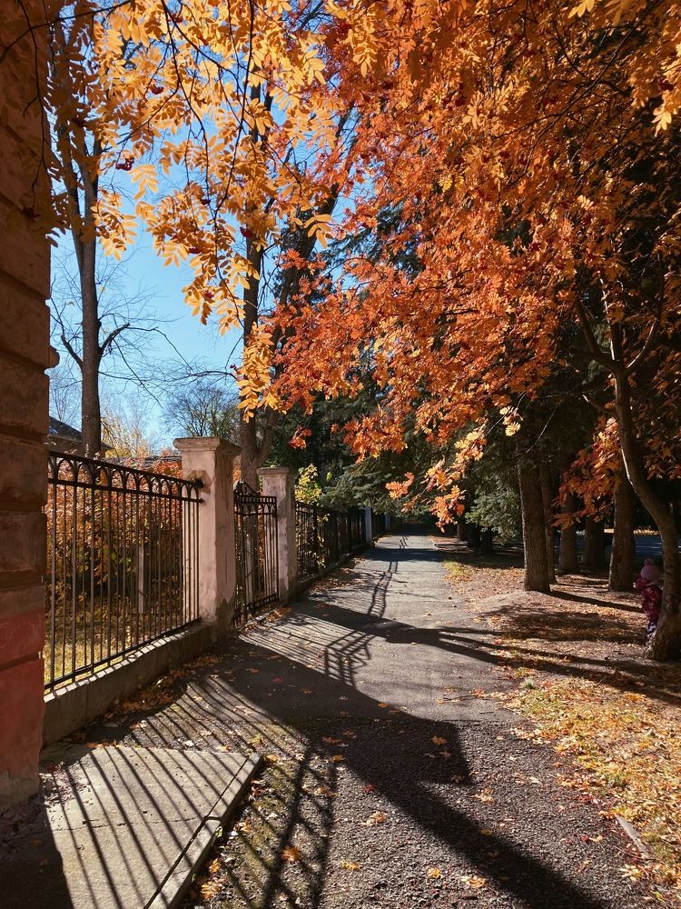 Photograph by Евгения Шубенкова