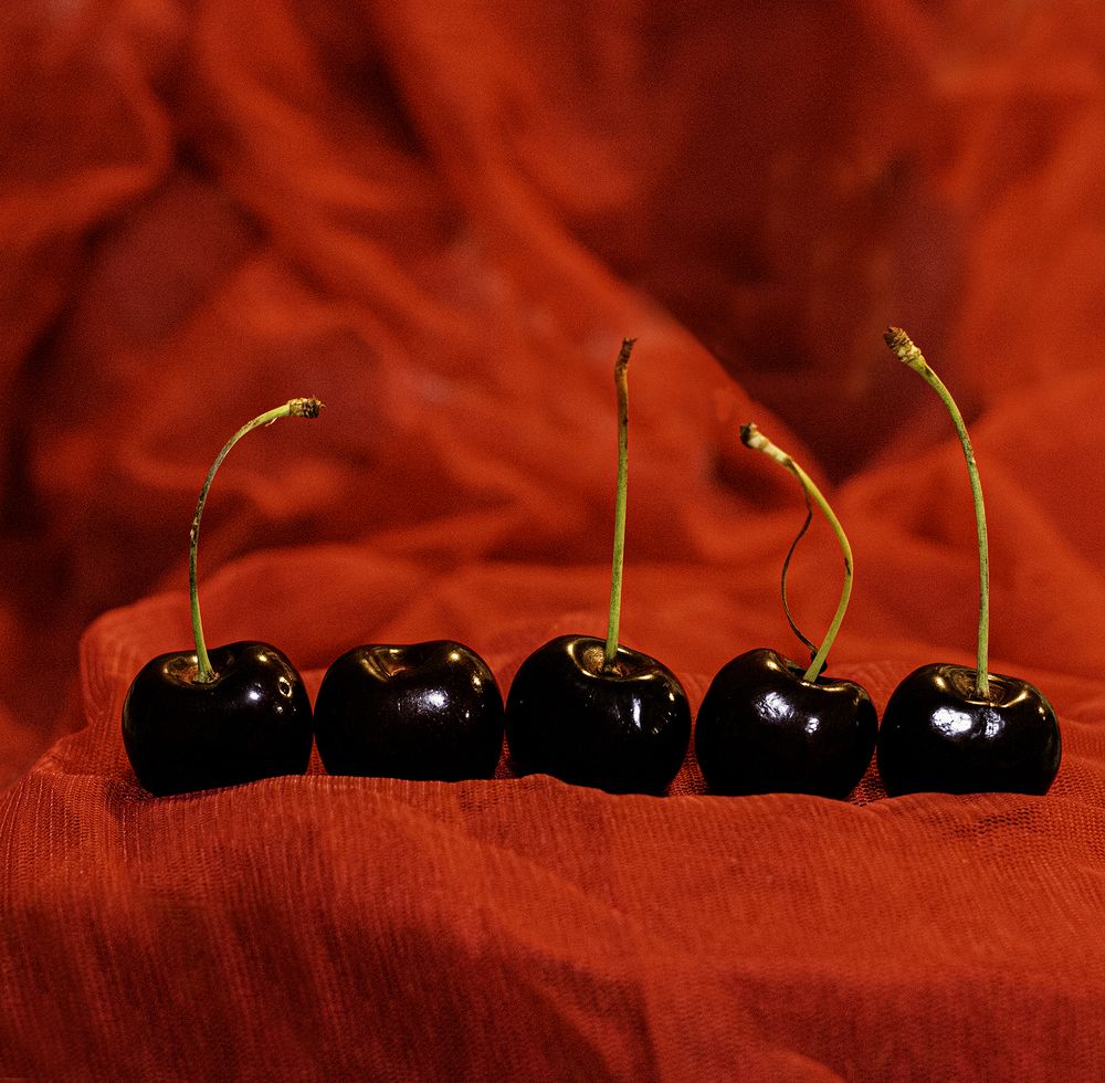 Photograph by Judit Mikol