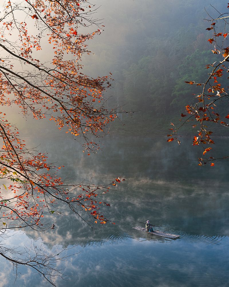 Photograph by MT-nguyen