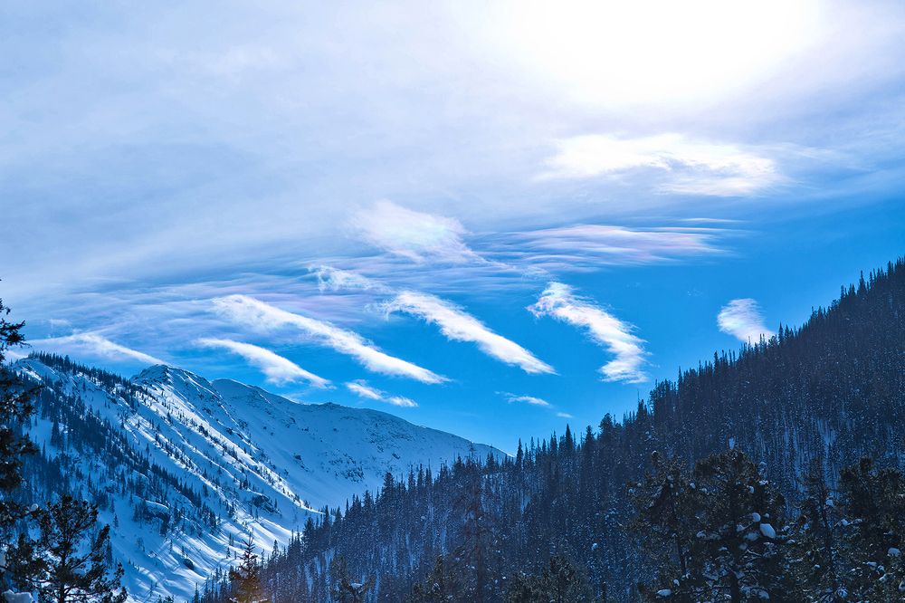 Photograph by Максимова Ольга Васильевна