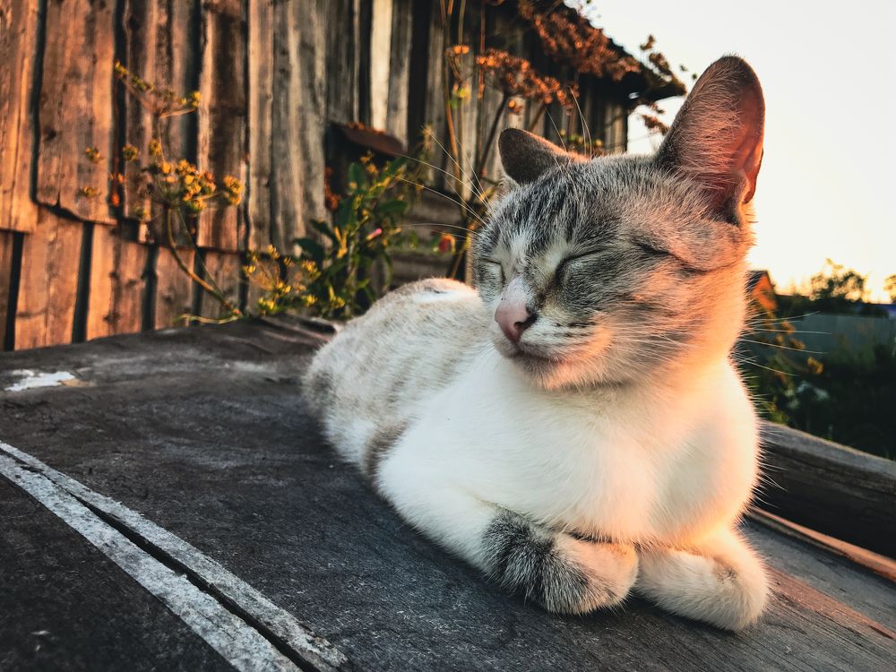 Photograph by Димитрий Осинцев