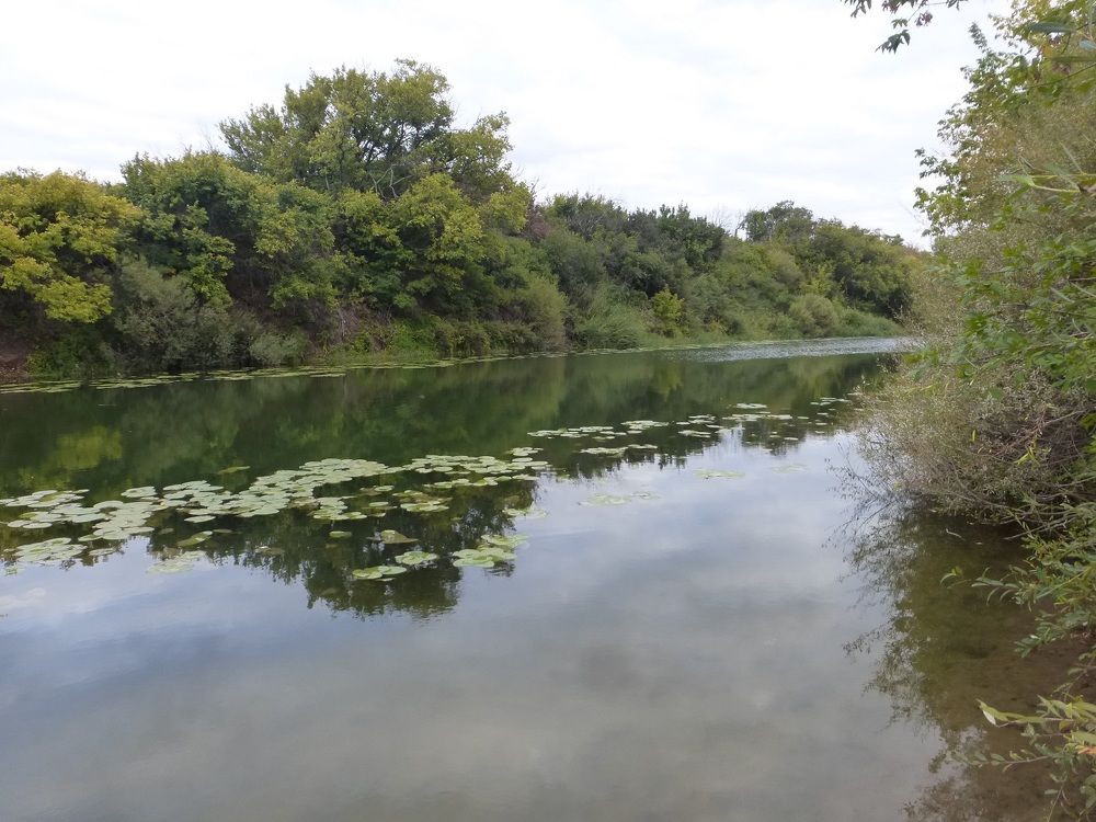 Photograph by Денис Веску