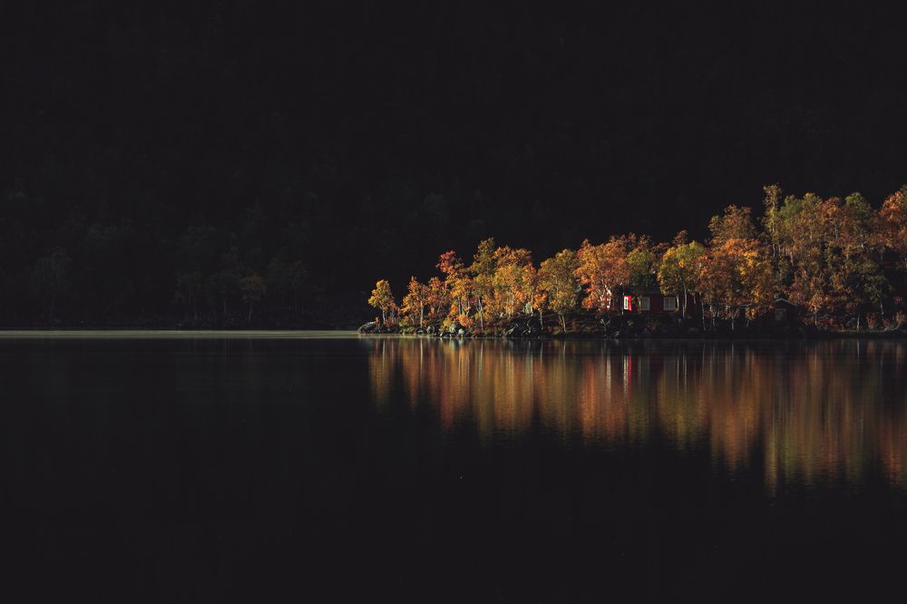 Photograph by Dawid Łozowicki