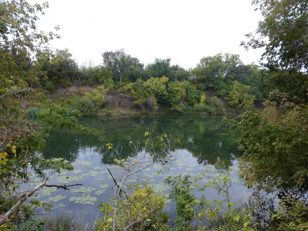 Photograph by Денис Веску