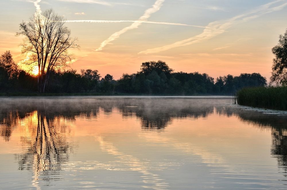 Туманный рассвет