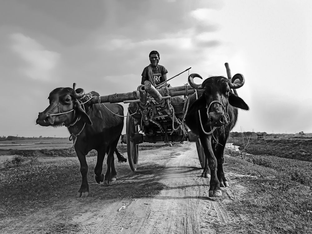 Old vehicle of Bangladesh.