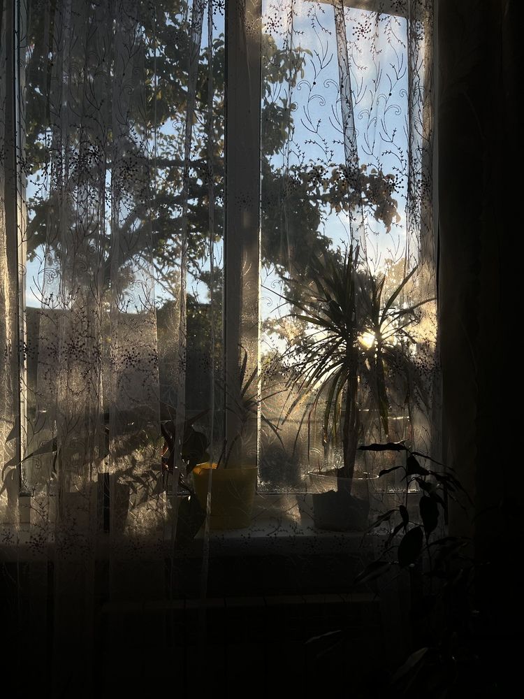 Фотография автора Tatiana Kots