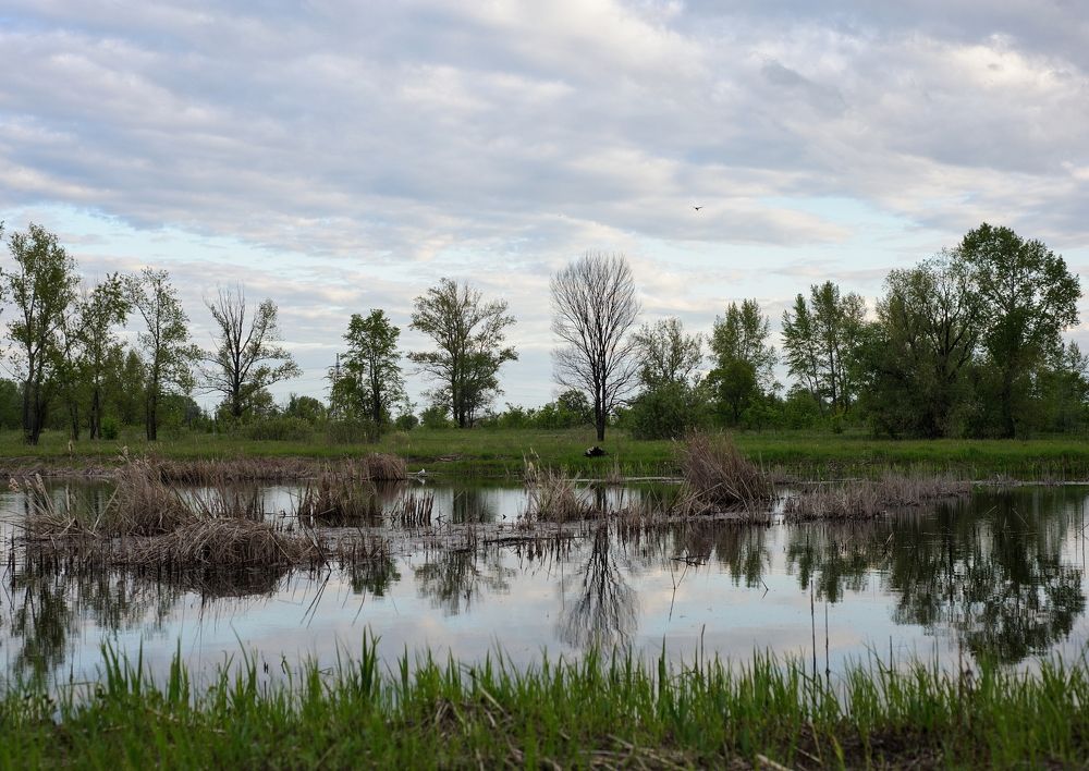 Озеро у дома