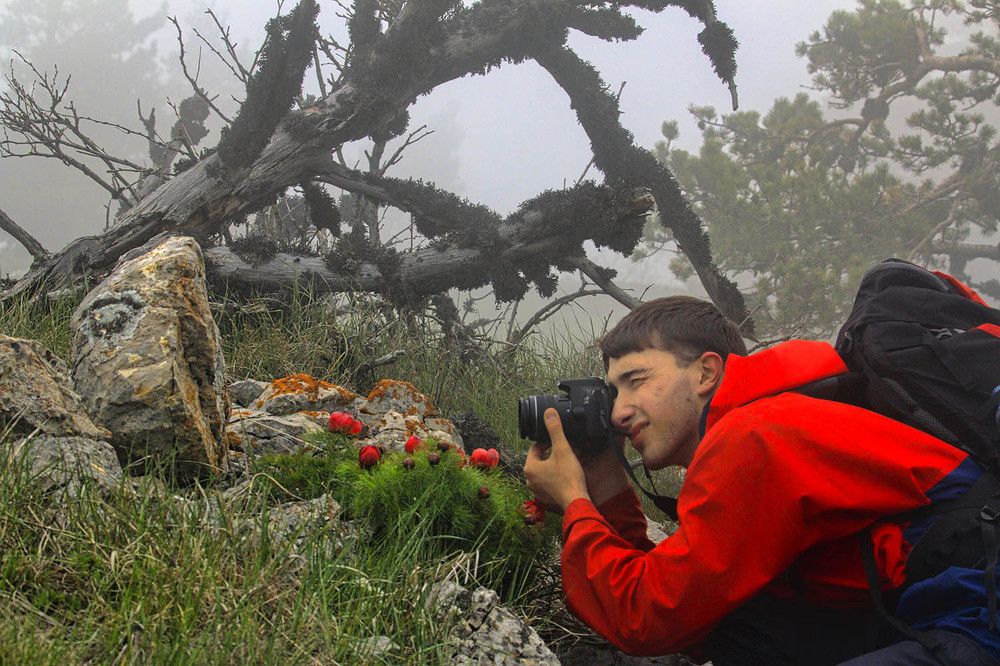 Photograph by Михаил Баевский