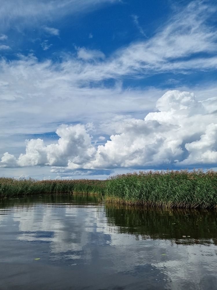 Photograph by Татьяна Стружкина